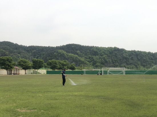 영천시 단포축구장 천연잔디구장 새롭게 단장