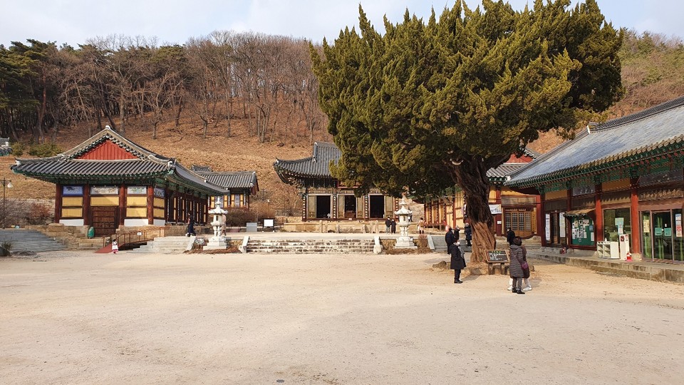 [영천문화유산 다시보기] 16 팔공산둘레길 10~12구간 치산마을~은해사